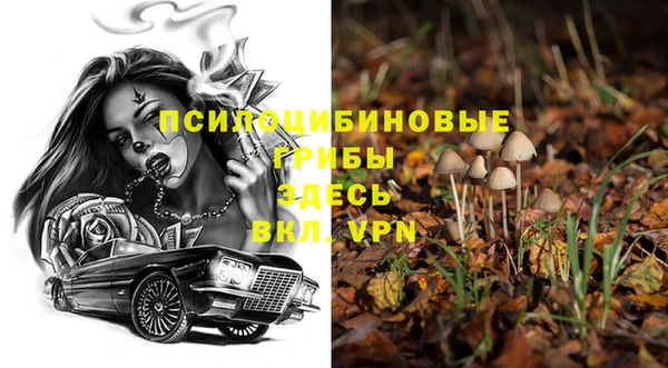 первитин Киреевск