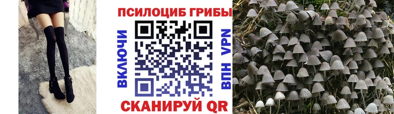 маркетплейс наркотические препараты  дарнет шоп  hydra онион  Кирсанов  Псилоцибиновые грибы Magic Shrooms 